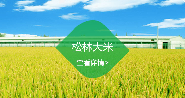 松林大米