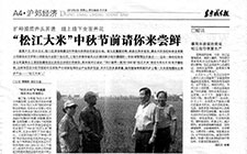 扩种提质齐头并进线上线下全面开花 “松江大米”中秋节前请你来尝鲜